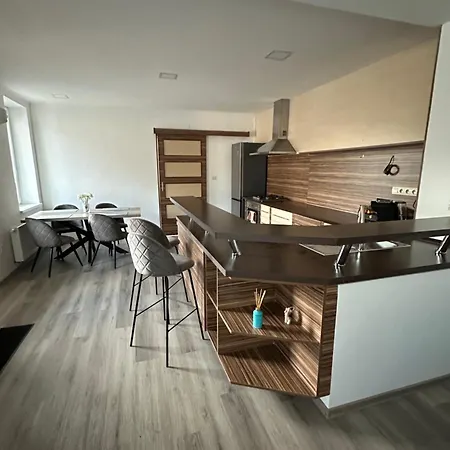 Speedy House Apartment *